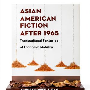 Asian American Literary Criticism eBook Columbia Press Screen Reader-0